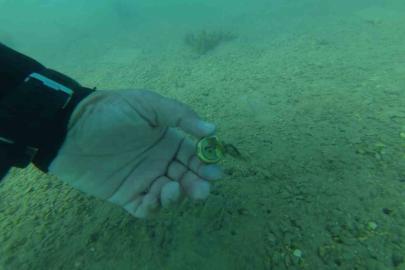 Bodrum’da deniz dibinden çıkanlar şaşırttı: Torba sahilinden 75 kilo atık çıkarıldı