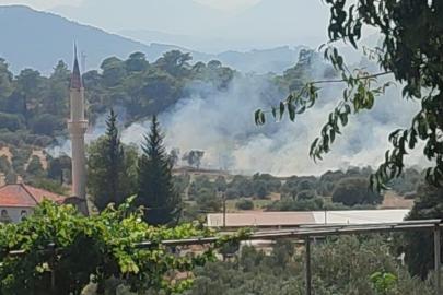 Dalaman’da orman yangını ekiplerin hızlı müdahalesi ile kontrol altına alındı