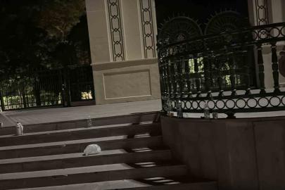 Eskişehir’de parktaki bıçaklı kavganın şüphelisi tutuklandı