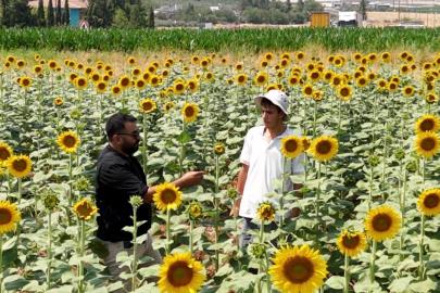 GAP suyuyla birlikte Şanlıurfa’da ürün çeşitliliği zirveye çıktı