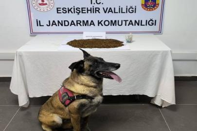 Jandarma ekiplerinden uyuşturucu operasyonu, 361 gram bonzai ele geçirildi