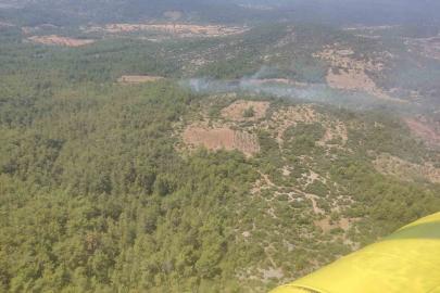 Muğla’da orman yangını kontrol altına alındı