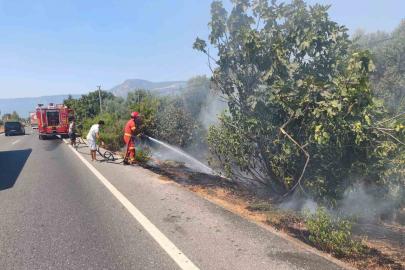Ula’da yol kenarında başlayan alevler korkuttu