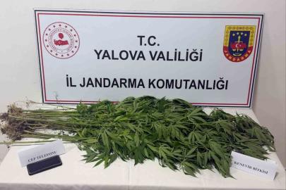 Yalova’da uyuşturucu operasyonu: 3 gözaltı