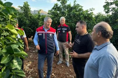 Adana’da dolu vuran tarım arazilerinde incelemeler başladı