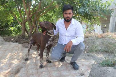 Adana’da köpeğe sopayla şiddet güvenlik kamerasında