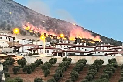 Adıyaman’da ormanlık alanda korkutan yangın