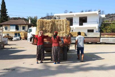 Aksu’da yangından etkilenen bölgelere saman desteği