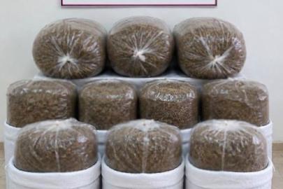 Antalya’da üç ilçede kaçak tütün operasyonu: 400 kilogram tütün ele geçirildi