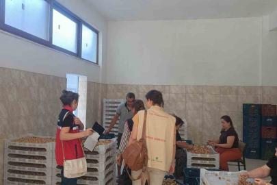 Aydın incirinin güvenilirliği için sahada titiz denetim