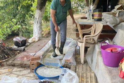 Aydın’da üzümler pekmeze dönüştürülmeye başlandı