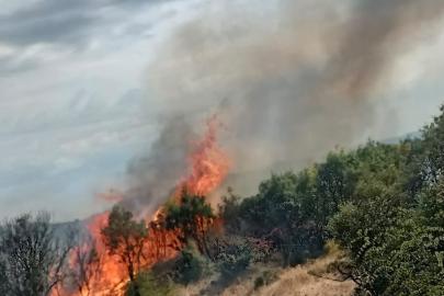 Ayvacık’ta makilik alanda çıkan yangın kontrol altına alındı