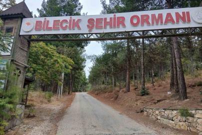 Bilecik Şehir Ormanı’nın yolları köstebek yuvasına döndü