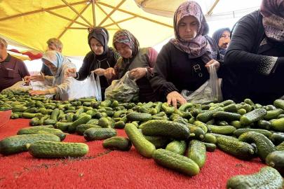 Bolu’da kışlık yiyecek telaşı