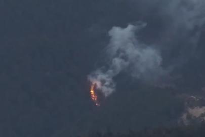 Bolu’da ormanlık alanda yangın çıktı