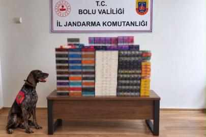 Bolu’da yolcu otobüslerinde kaçak tütün operasyonu: Piyasa değeri 760 bin TL