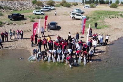 Çamgazi Baraj Göleti’ne 680 bin yavru sazan bırakıldı