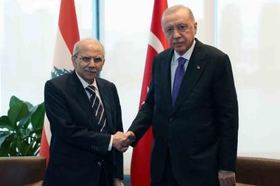 Cumhurbaşkanı Erdoğan, Lübnan Başbakanı Selam ile görüştü
