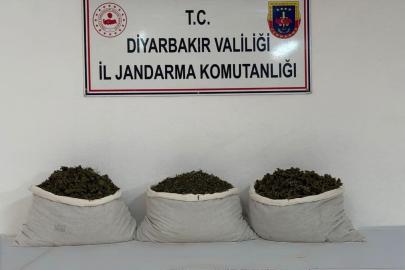 Diyarbakır’da 253 bin kök kenevir ve 42 kilo esrar ele geçirildi