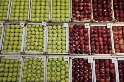 Gölcük’te en lezzetli elma ve armutlar vitrine çıktı
