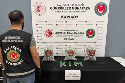 Gümrüklerde 81 milyar 970 milyon liralık kaçakçılık önlendi