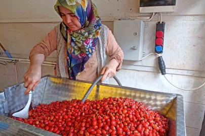 Günler süren işlem dakikalara indi: Kuşburnu marmeladı zamanı