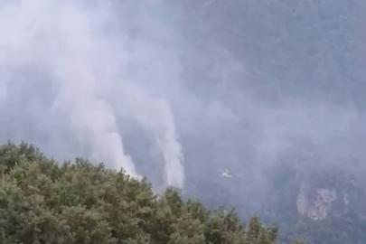 Hatay’daki orman yangınının enerjisi düşürüldü