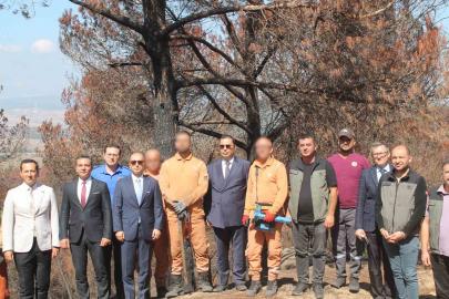 Hükümlüler ormanların yeniden yeşertilmesi için sahada