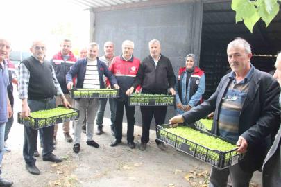 İnebolu’da 65 çiftçiye 88 bin 400 adet sebze fidesi dağıtıldı