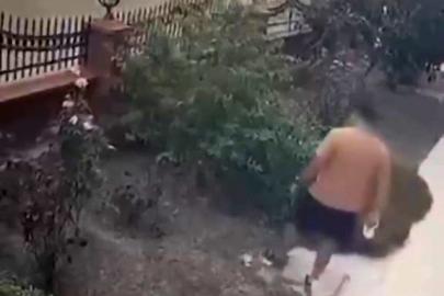 İzmir’de köpeğini gezdiren şahsın yavrulu kediye tekmeli saldırısı kamerada