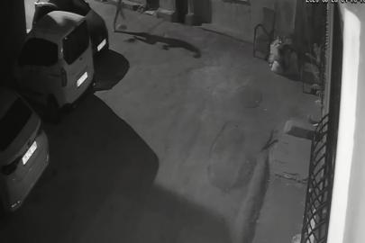 İzmir’de köpeğini tekmeleyen şahıs gözaltına alındı