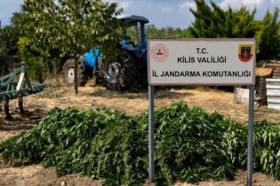 Kilis’te 40 kilo 500 gram kubar esrar ele geçirildi