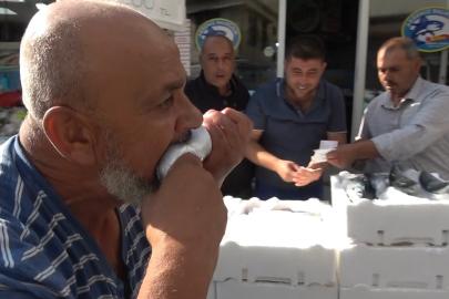 Kilis’te palamut 100 liraya düştü, balıkçı çiğ çiğ yedi