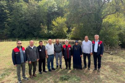 Kırsalda bereket, küçükbaşa destek