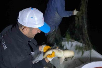 Kovada Gölü’nde kaçak avcılığa gece denetimi