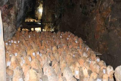 Mağaraya beyaz giriyor, kırmızı çıkıyor: ‘Divle Obruk Peyniri’ sofralara hazırlanıyor