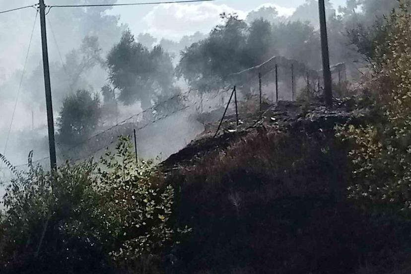 Milas-Söke karayolu üzerindeki yangın büyümeden söndürüldü