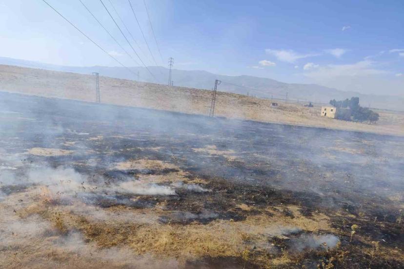 Muş’ta iki bölgede çıkan anız yangınları söndürüldü