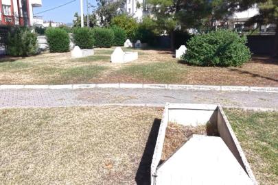 Osmaniye’de parkın ortasındaki mezar taşları dikkat çekiyor