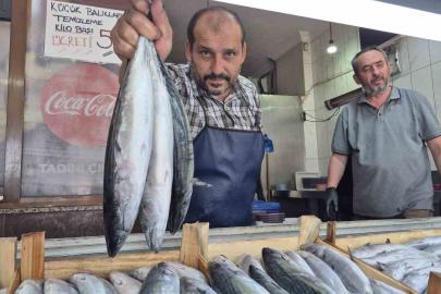 Sezonun gözdesi palamut ve hamsi tezgahları şenlendirdi