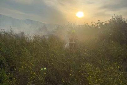 Sındırgı’da otluk alanda yangın