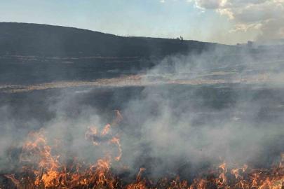 Tekirdağ’da korkutan anız yangını