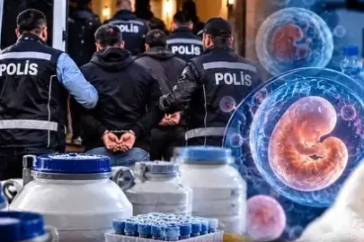 14 ilde üreme hücresi ve doku ticareti operasyonu! 36 gözaltı