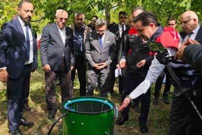 Adilcevaz’da ceviz hasadı başladı