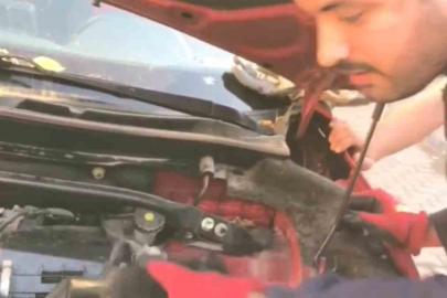 Aracın motoruna giren 3 yavru kedi itfaiye ekiplerince kurtarıldı