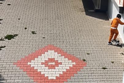 Bandırma’da kediye işkence iddiası tepki çekti