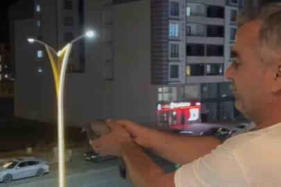 Bingöl’de havalandırma boşluğuna düşen 3 güvercini itfaiye kurtardı