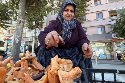 Bolu’da ormandan kova kova topluyor, pazarda kilosunu 600 liradan satıyor