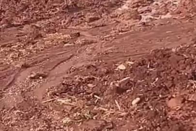 Çamura saplanan eşeği itfaiye ekipleri kurtardı