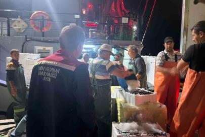 Didim’de ‘Hamsi Kotası’ denetimi yapıldı